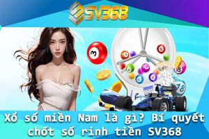 Xo so mien Nam la gi Bi quyet chot so rinh tien SV368