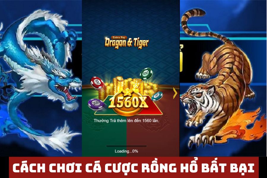 tong hop kinh nghiem choi ca cuoc rong ho bat bai