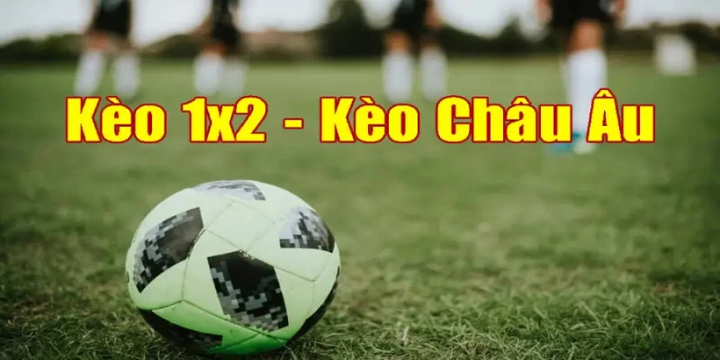 Tỷ lệ kèo châu Âu có cách tham gia đơn giản